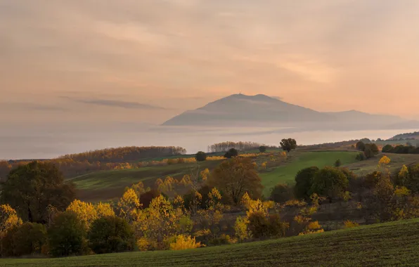 Field, autumn, forest, the sky, clouds, trees, mountains, fog