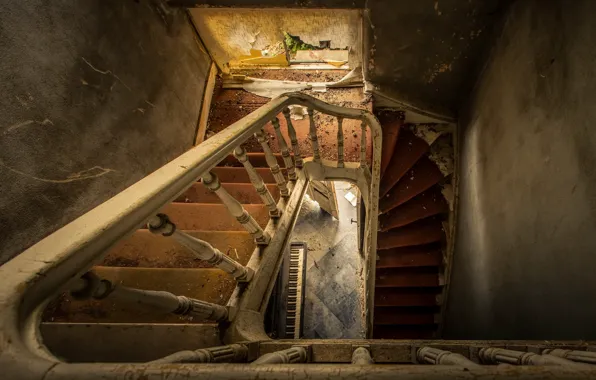 Picture house, wall, ladder