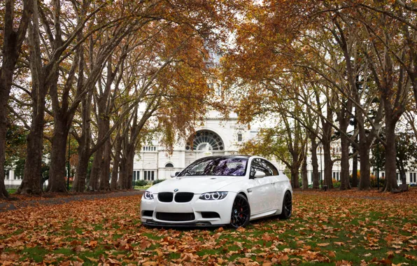 Picture White, Autumn, E92, M3