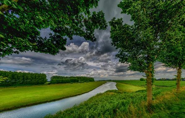 Greens, the sky, grass, clouds, trees, river, field, Netherlands