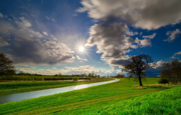 Greens, field, the sky, grass, the sun, clouds, rays, light