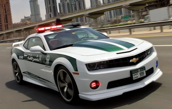 Picture machine, speed, Camaro, Police, the front, Chevrolt