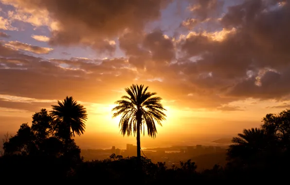 The sky, the sun, the city, palm trees