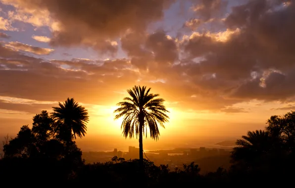 The sky, the sun, the city, Palma