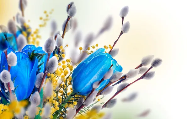 Picture flowers, spring, tulips, Verba, flowers, tulips, spring, willow twig