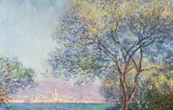 Landscape, the city, tree, picture, Claude Monet, Antibes In The Morning