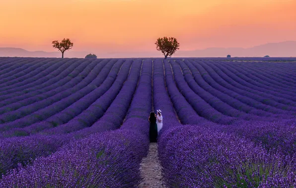 Summer, trees, sunset, flowers, girls, hill, path, lavender