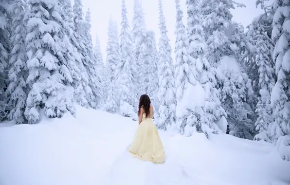 Picture cold, forest, girl, snow, dress, Lichon