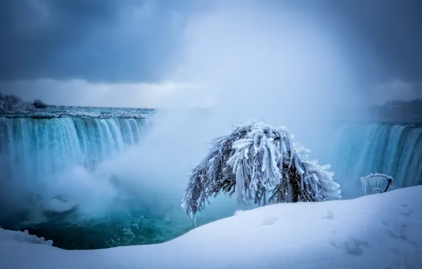 Winter, snow, tree, waterfall, Niagara falls, Niagara Falls