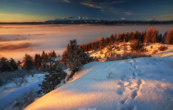 Picture winter, clouds, snow, mountains, traces, nature, fog, morning