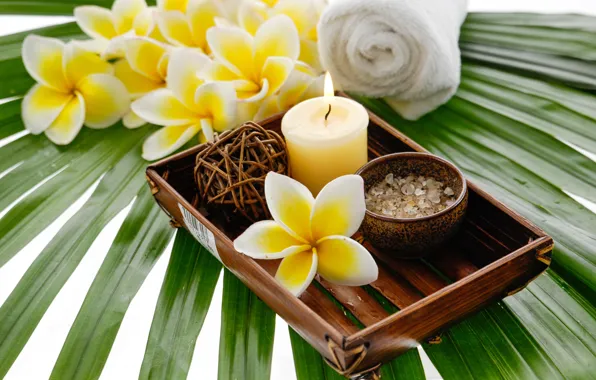 Picture flowers, candles, relax, flowers, Spa, still life, candles, salt