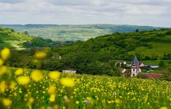 Greens, field, summer, the sky, flowers, mountains, house, hills