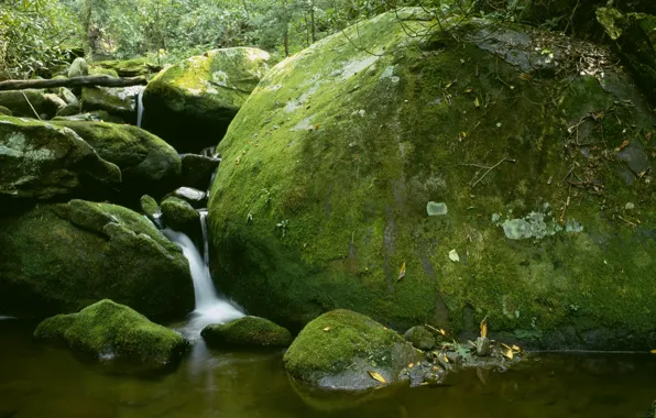 Stones, waterfall, moss