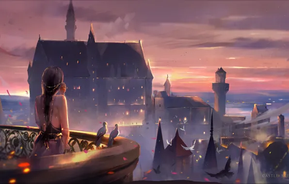 The sky, girl, castle, the evening, pigeons, tower, balcony, long hair