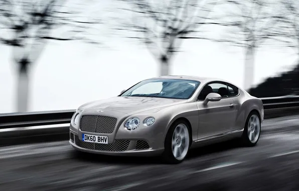 Picture speed, Bentley, continental