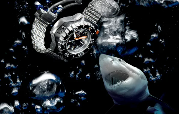 Water, shark, Watch, Omega, Seamaster, 1200M, Ploprof