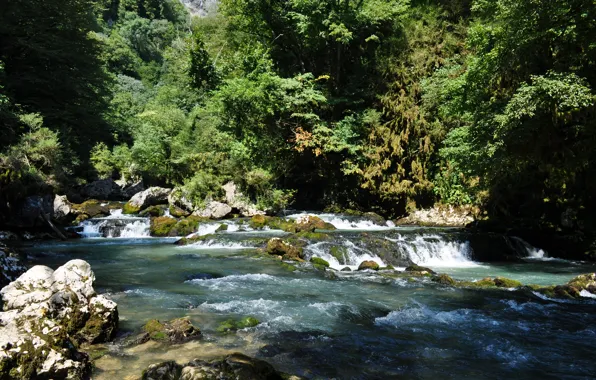 Picture rocks, waterfall, mountain river, Abkhazia