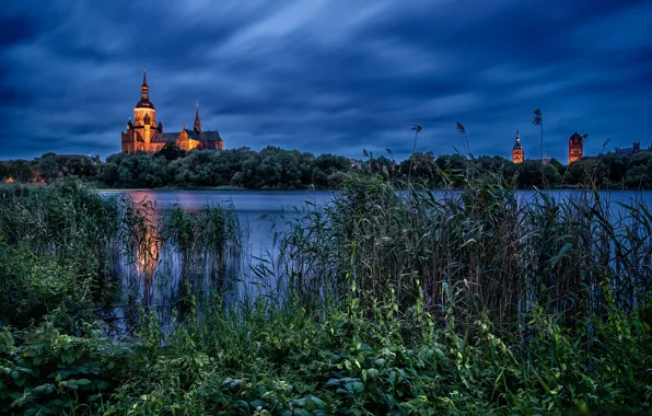 Lake, the evening, Germany, reed, Church, Germany, St. Mary's Church, Stralsund