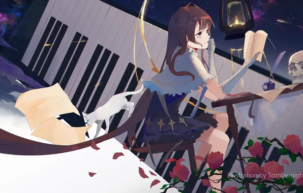 Cat, girl, skull, keys, art, sombernight