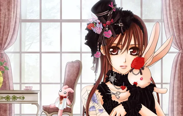 Picture girl, toys, roses, rabbits, Vampire Knight