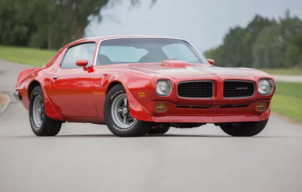 Picture Pontiac, Trans Am, 1973, 455