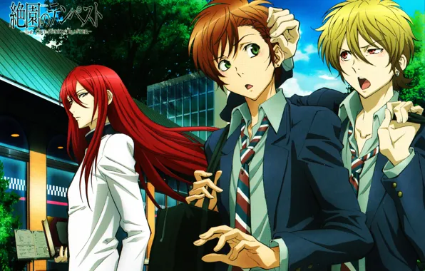 Street, tie, friends, three, art, green eyes, students, zetsuen no tempest