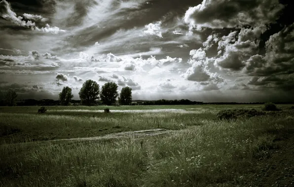 Picture road, field, the sky, clouds, trees, landscape, nature