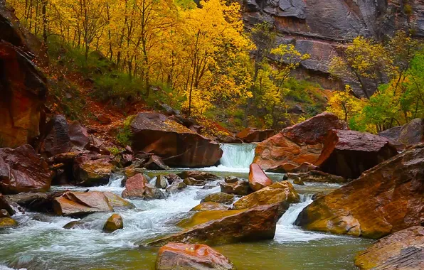 Autumn, trees, stones, rocks, Utah, USA, Zion Canyon, river Virgo