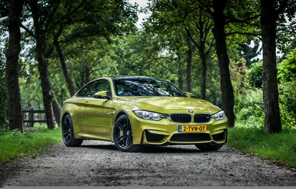 BMW, forest, road