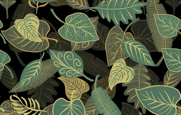Leaves, background, texture