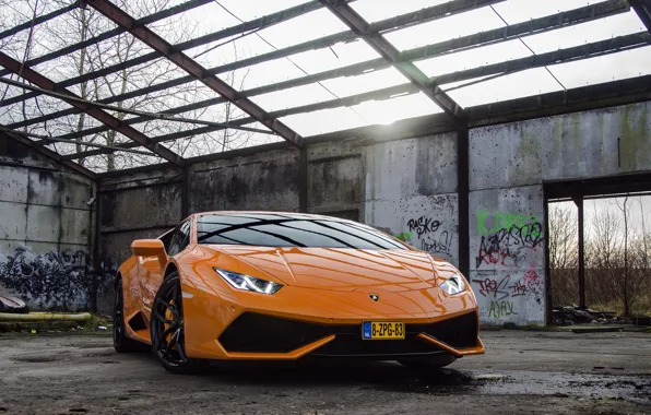 Picture Lamborghini, Orange, Huracan, LP610-4