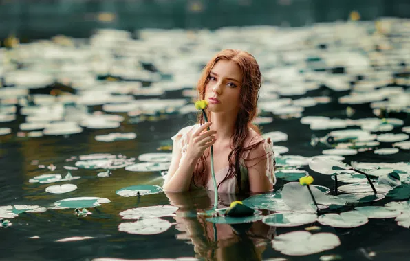 Look, leaves, girl, face, lake, mood, the situation, water lilies