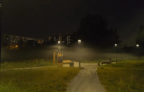 Road, trees, night, building, home, lights, Moscow, Russia