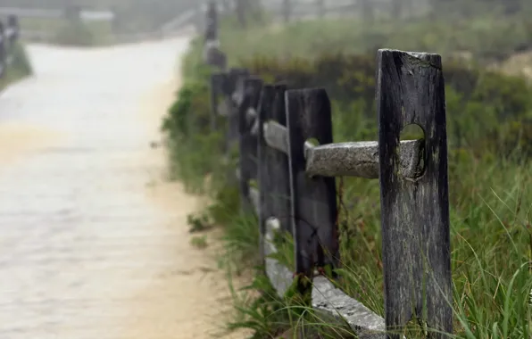 Road, landscape, the fence