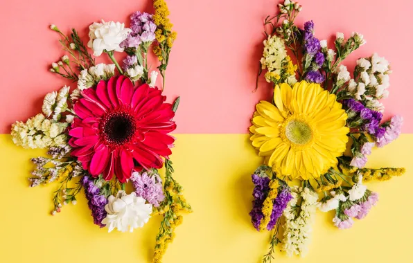 Flowers, spring, colorful, chrysanthemum, flowers, spring, composition, bright