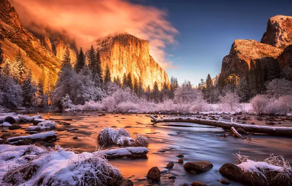 Winter, frost, forest, light, snow, sunset, mountains, stones