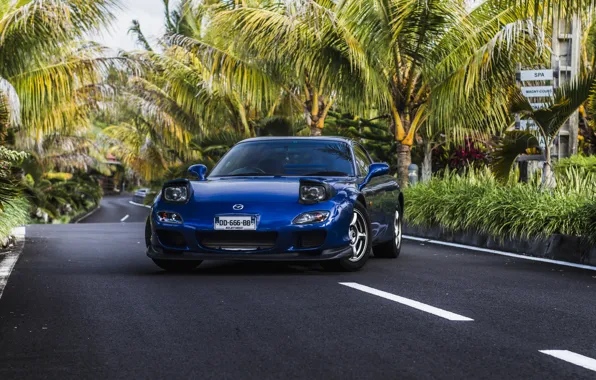 Picture road, mazda, blue, palms, rx-7