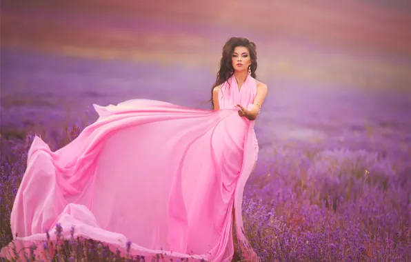 Picture model, dress, meadow, lavender