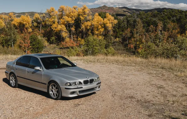 Mountain, Autumn, E39, Forest, M5