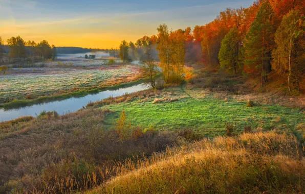 Picture autumn, trees, fog, river, dawn