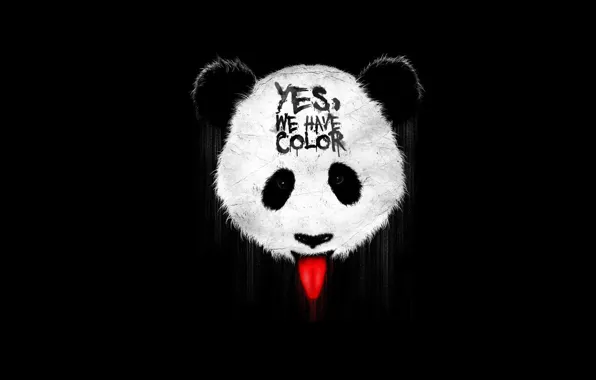 Language, the inscription, Panda