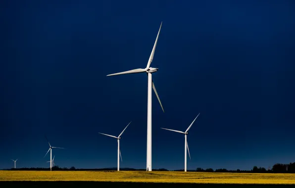 Picture field, the sky, windmills