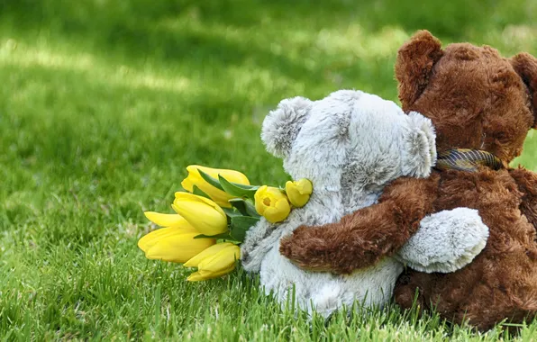 Love, bear, pair, love, friends, Teddy, flowers, romantic