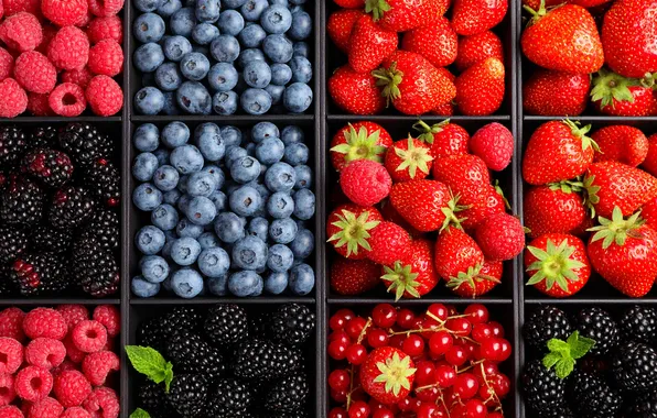Berries, raspberry, squares, harvest, blueberries, strawberry, red, a lot