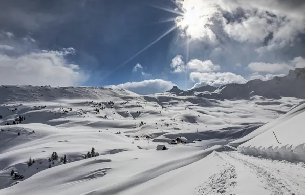 Picture winter, the sun, light, snow, landscape, home