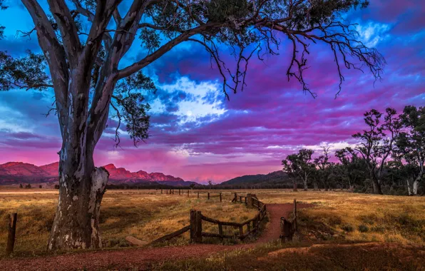 Picture road, clouds, trees, mountains, nature, the fence, Australia, glow