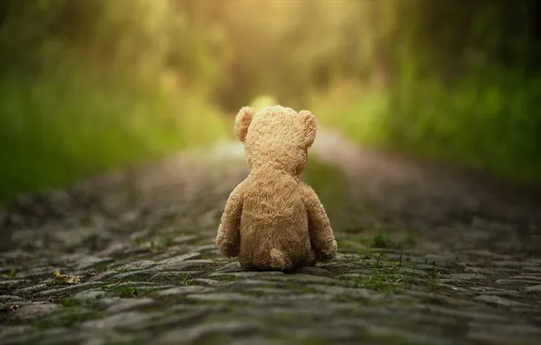 Road, toy, bear