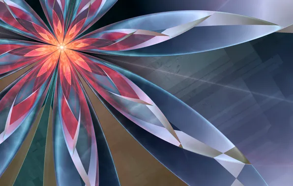 Flowers, abstraction, glow