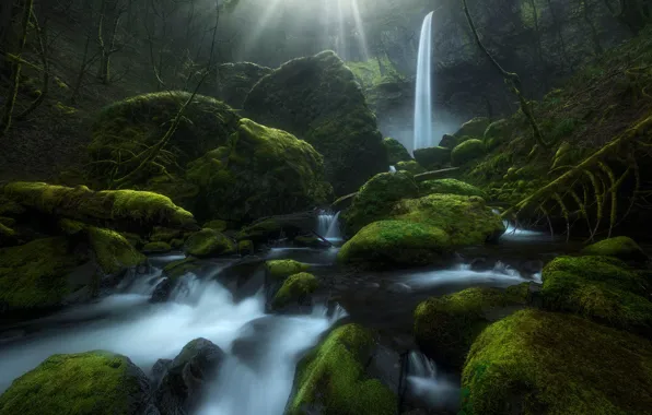 Picture stream, stones, waterfall, moss, Oregon, Oregon, Columbia River Gorge, Elowah Falls