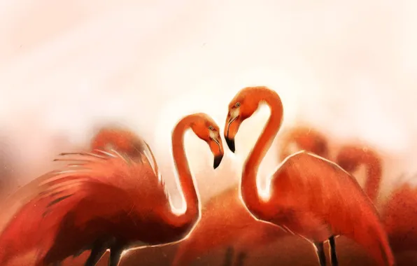 Picture birds, art, flamingo